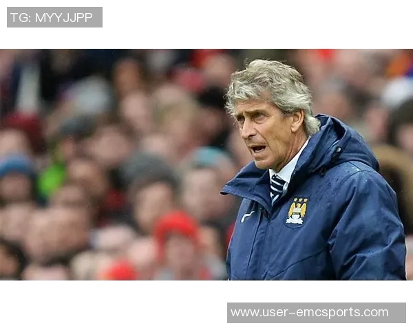 佩莱格里尼补射破门被判越位无效VAR介入引发争议与讨论